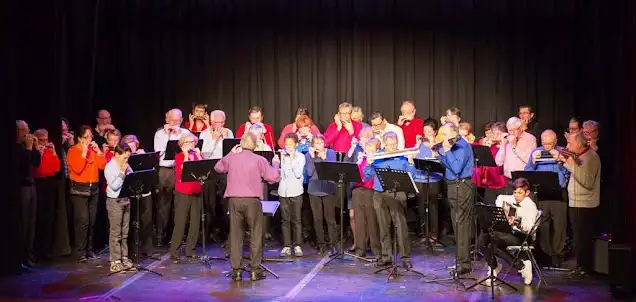 Concert salle Paul Bouin, Basse Goulaine